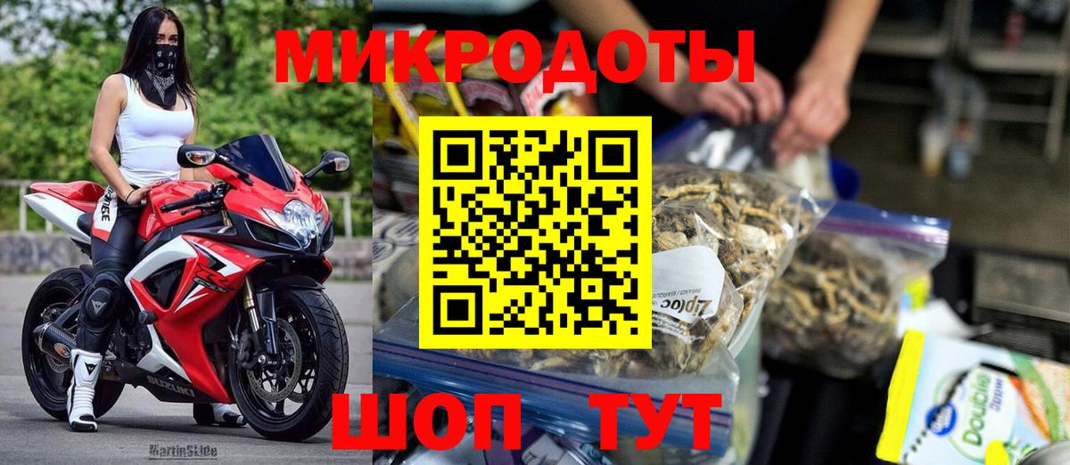 Галлюциногенные грибы Psilocybe Серов